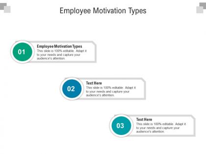 Employee motivation types ppt powerpoint presentation outline clipart images cpb