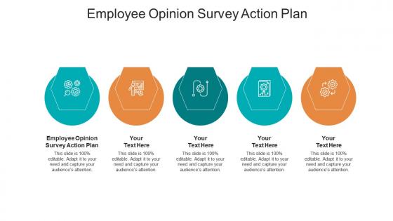 Employee opinion survey action plan ppt powerpoint presentation gallery graphics cpb