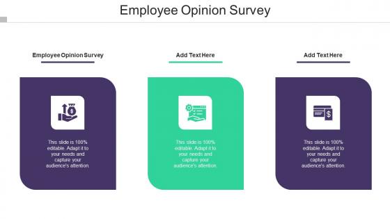 Employee Opinion Survey In Powerpoint And Google Slides Cpb