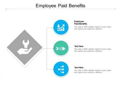 Employee paid benefits ppt powerpoint presentation slide cpb