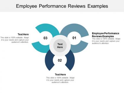 Employee performance reviews examples ppt powerpoint presentation portfolio inspiration cpb
