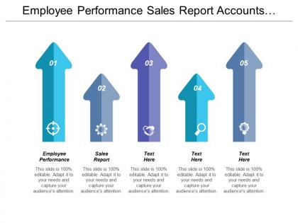 Employee performance sales report accounts receivable management financial planning cpb
