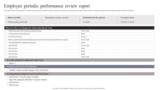 Employee Periodic Performance Review Report
