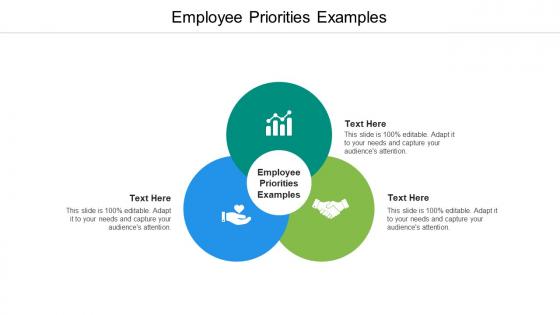 Employee priorities examples ppt powerpoint presentation outline topics cpb