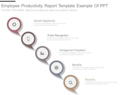 Employee productivity report template example of ppt