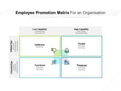 Employee promotion matrix for an organisation