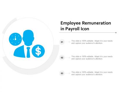 Employee remuneration in payroll icon