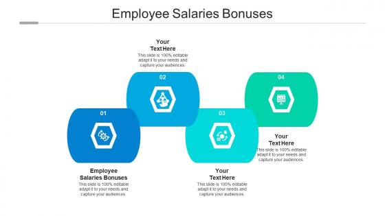 Employee salaries bonuses ppt powerpoint presentation file examples cpb