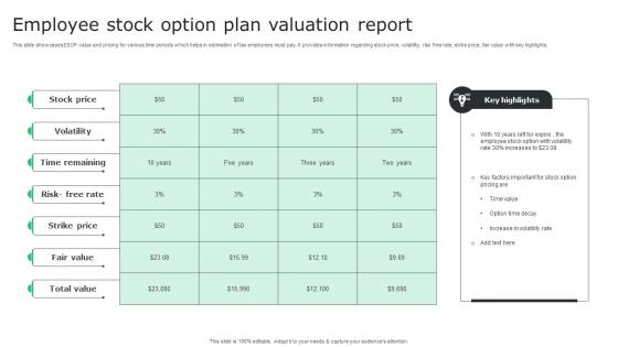 Employee Stock Option Plan Valuation Report