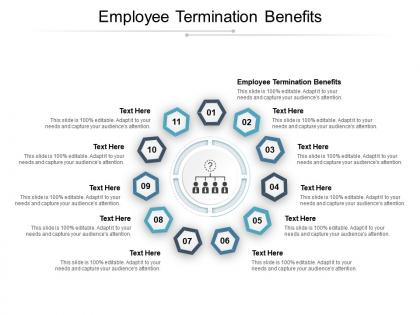 Employee termination benefits ppt powerpoint presentation visual aids infographics cpb