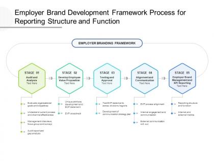 Employer brand development framework process for reporting structure and function