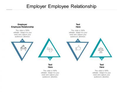 Employer employee relationship ppt powerpoint presentation icon styles cpb