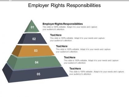 Employer rights responsibilities ppt powerpoint presentation file structure cpb