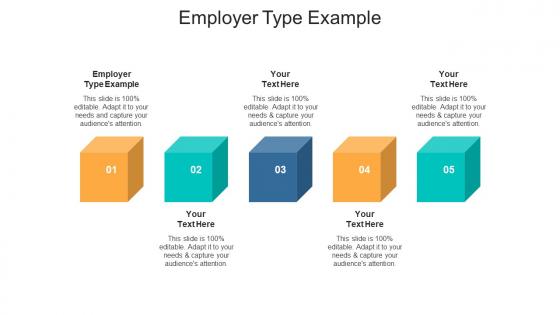 Employer type example ppt powerpoint presentation ideas summary cpb