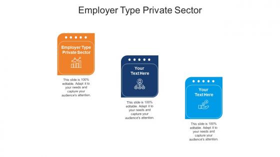 Employer type private sector ppt powerpoint presentation ideas visuals cpb