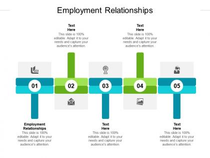 Employment relationships ppt powerpoint presentation icon deck cpb