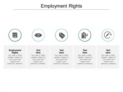 Employment rights ppt powerpoint presentation summary example topics cpb