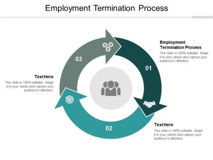 Employment termination process ppt powerpoint presentation portfolio design inspiration cpb