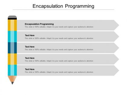 Encapsulation programming ppt powerpoint presentation professional template cpb