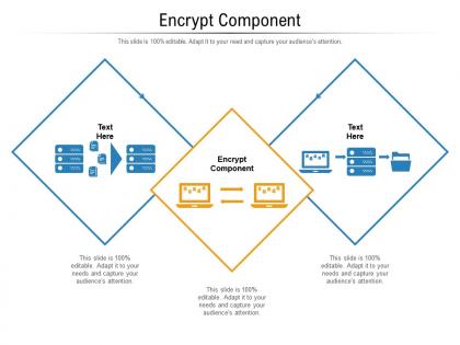 Encrypt component ppt powerpoint presentation ideas model cpb
