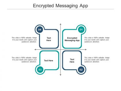 Encrypted messaging app ppt powerpoint presentation model vector cpb