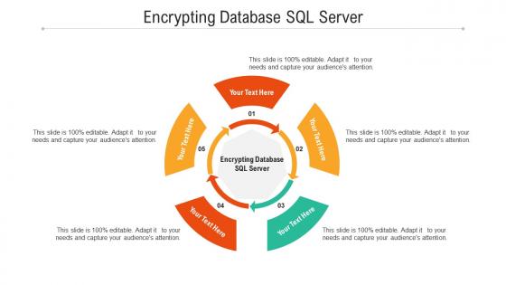 Encrypting database sql server ppt powerpoint presentation show background cpb