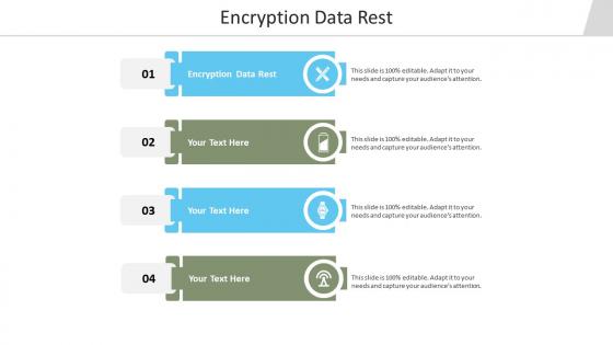 Encryption data rest ppt powerpoint presentation show cpb