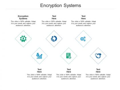 Encryption systems ppt powerpoint presentation file outfit cpb