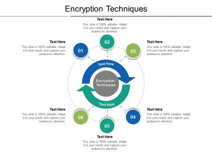 Encryption techniques ppt powerpoint presentation infographic template sample cpb