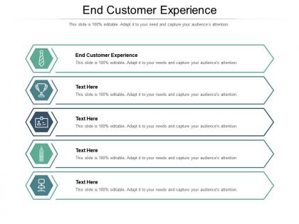 End customer experience ppt powerpoint presentation model professional cpb