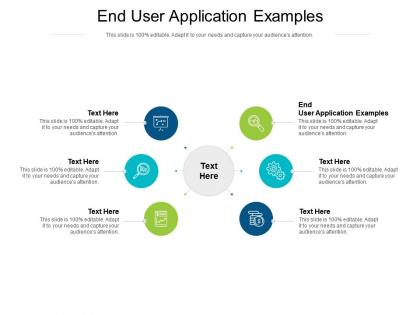 End user application examples ppt professional demonstration cpb