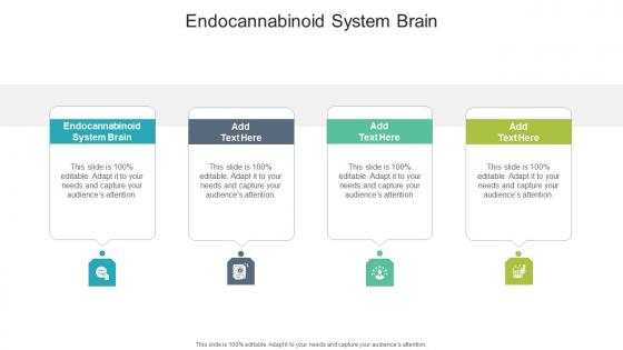Endocannabinoid System Brain In Powerpoint And Google Slides Cpb