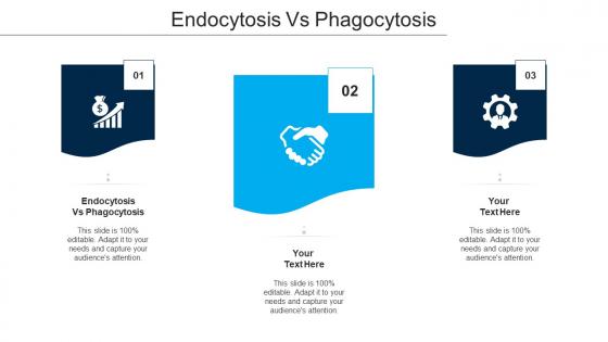 Endocytosis Vs Phagocytosis Ppt Powerpoint Presentation Layouts Smartart Cpb