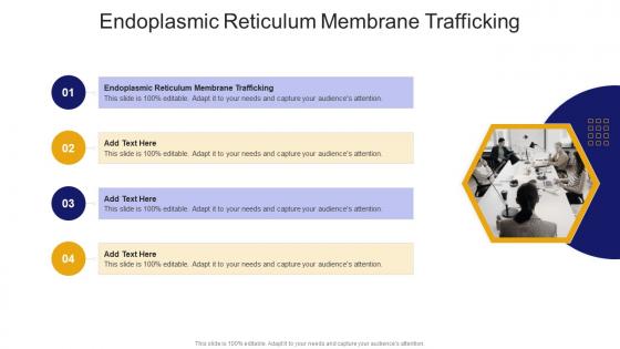 Endoplasmic Reticulum Membrane Trafficking In Powerpoint And Google Slides Cpb