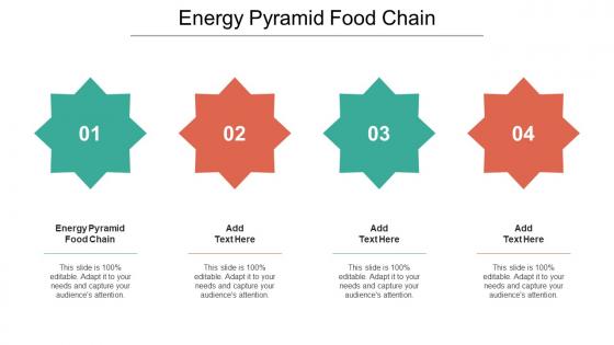 Energy Pyramid Food Chain Ppt Powerpoint Presentation Infographic Template Cpb