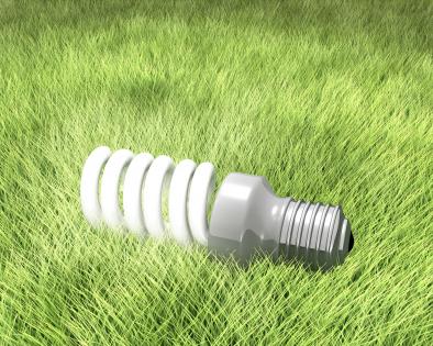 Energy saving light bulb on green grass stock photo