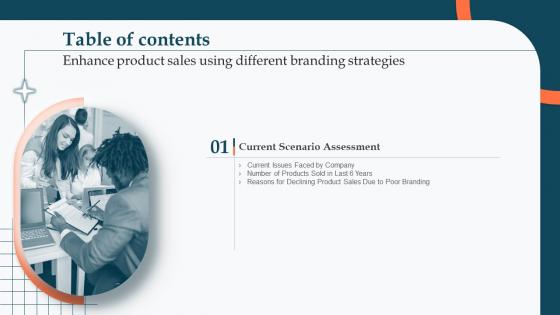 Enhance Product Sales Using Different Branding Strategies Table Of Contents