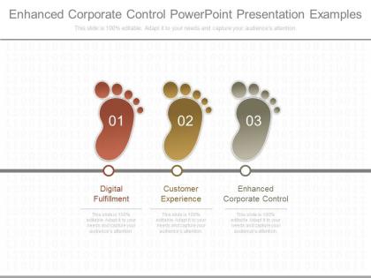 Enhanced corporate control powerpoint presentation examples