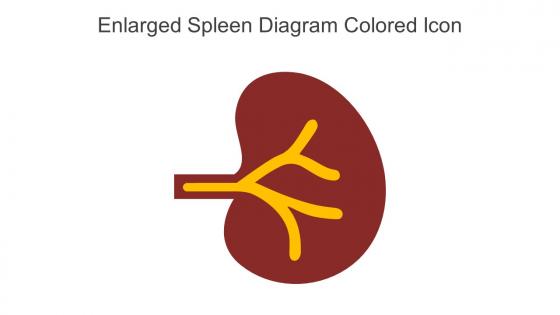Enlarged Spleen Diagram Colored Icon In Powerpoint Pptx Png And Editable Eps Format