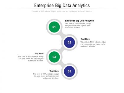 Enterprise big data analytics ppt powerpoint presentation outline show cpb