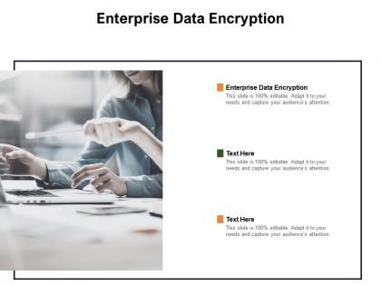 Enterprise data encryption ppt powerpoint presentation outline microsoft cpb