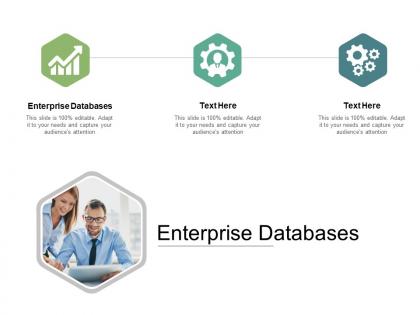 Enterprise databases ppt powerpoint presentation file ideas cpb