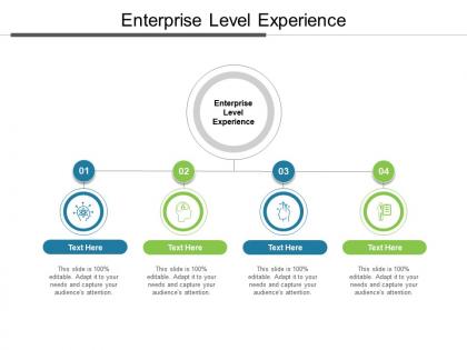 Enterprise level experience ppt powerpoint presentation visual aids ideas cpb