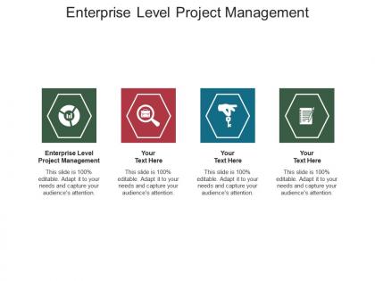Enterprise level project management ppt powerpoint presentation styles vector cpb