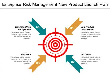 Enterprise risk management new product launch plan performance evaluation cpb