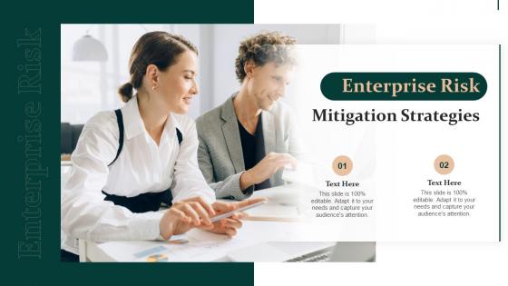 Enterprise Risk Mitigation Strategies Ppt Show Designs Download
