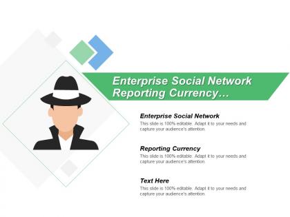 Enterprise social network reporting currency secondary ledgers legal entities