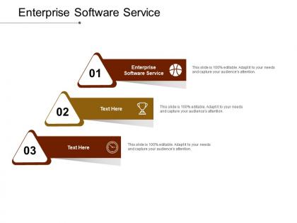 Enterprise software service ppt powerpoint presentation portfolio icons cpb