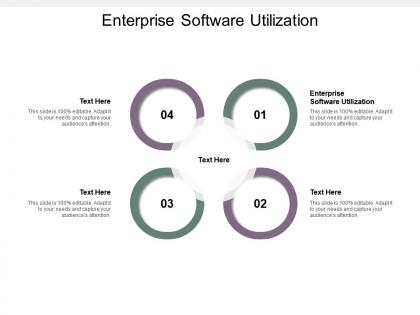 Enterprise software utilization ppt powerpoint presentation portfolio professional cpb
