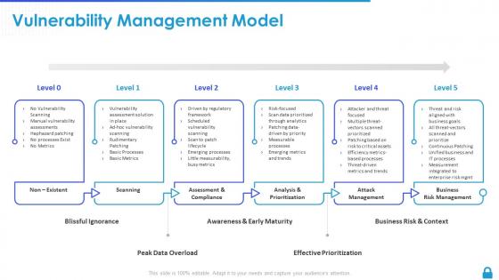 Enterprise vulnerability management vulnerability management model